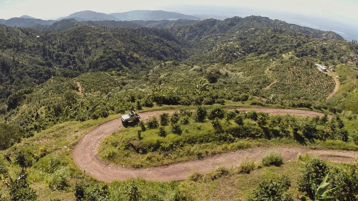 hedone-jamaica-blue-mountain-3